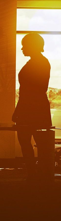 Sun-dappled silhouette of woman executive standing before the board of directors.